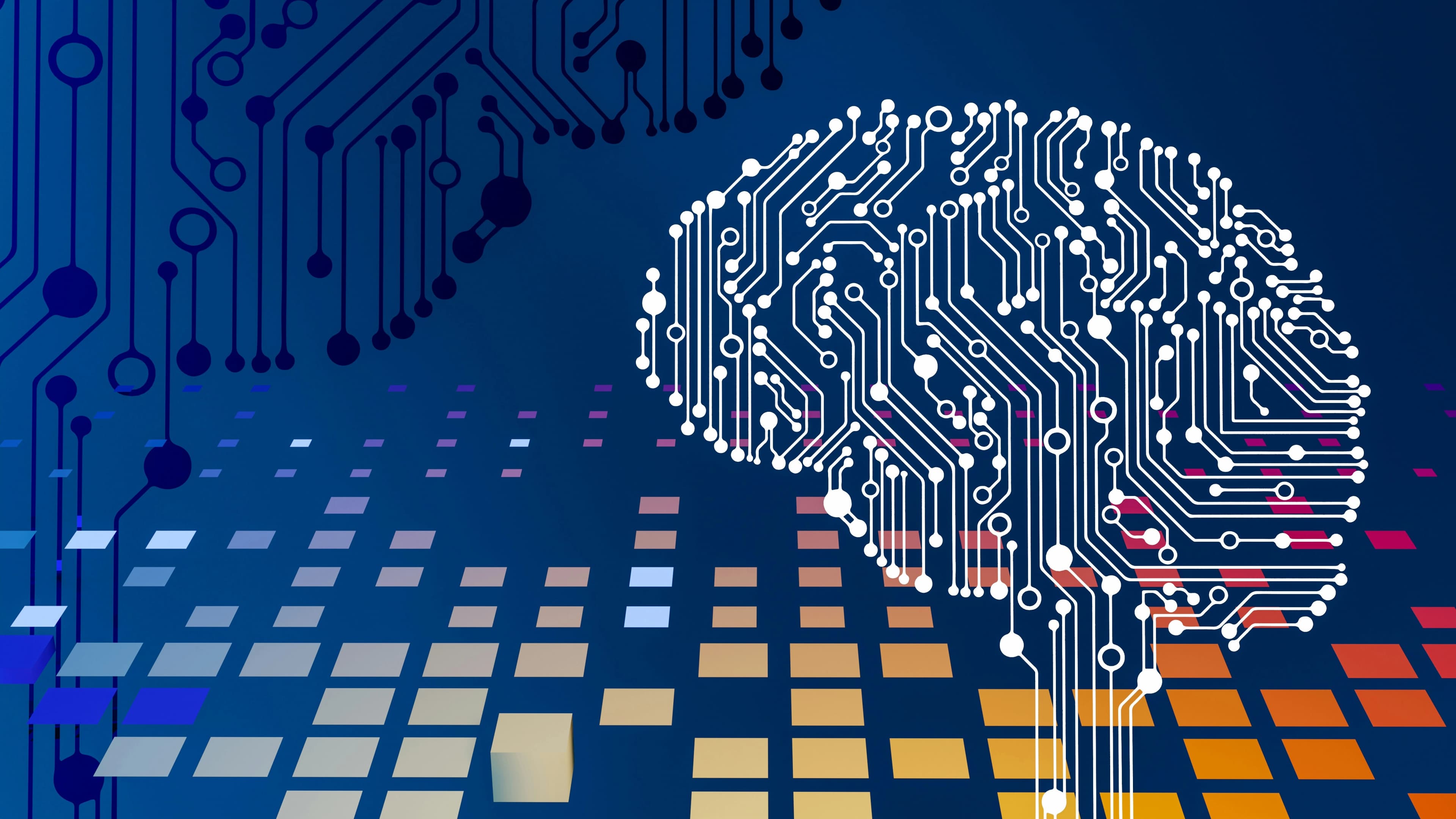 Why You Need Data Quality Checks Before Training AI Models